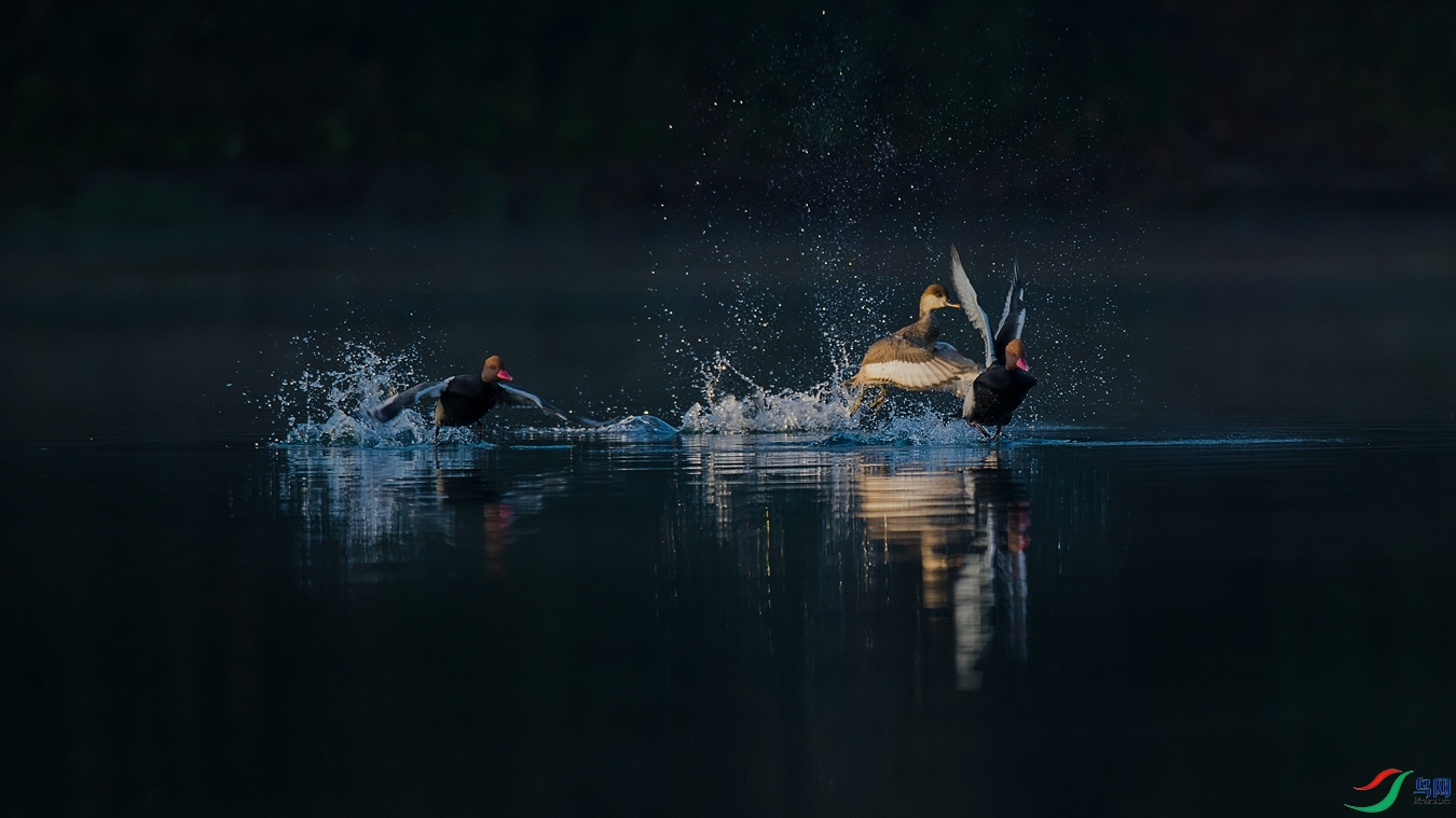 DSC_5739 - ����.jpg