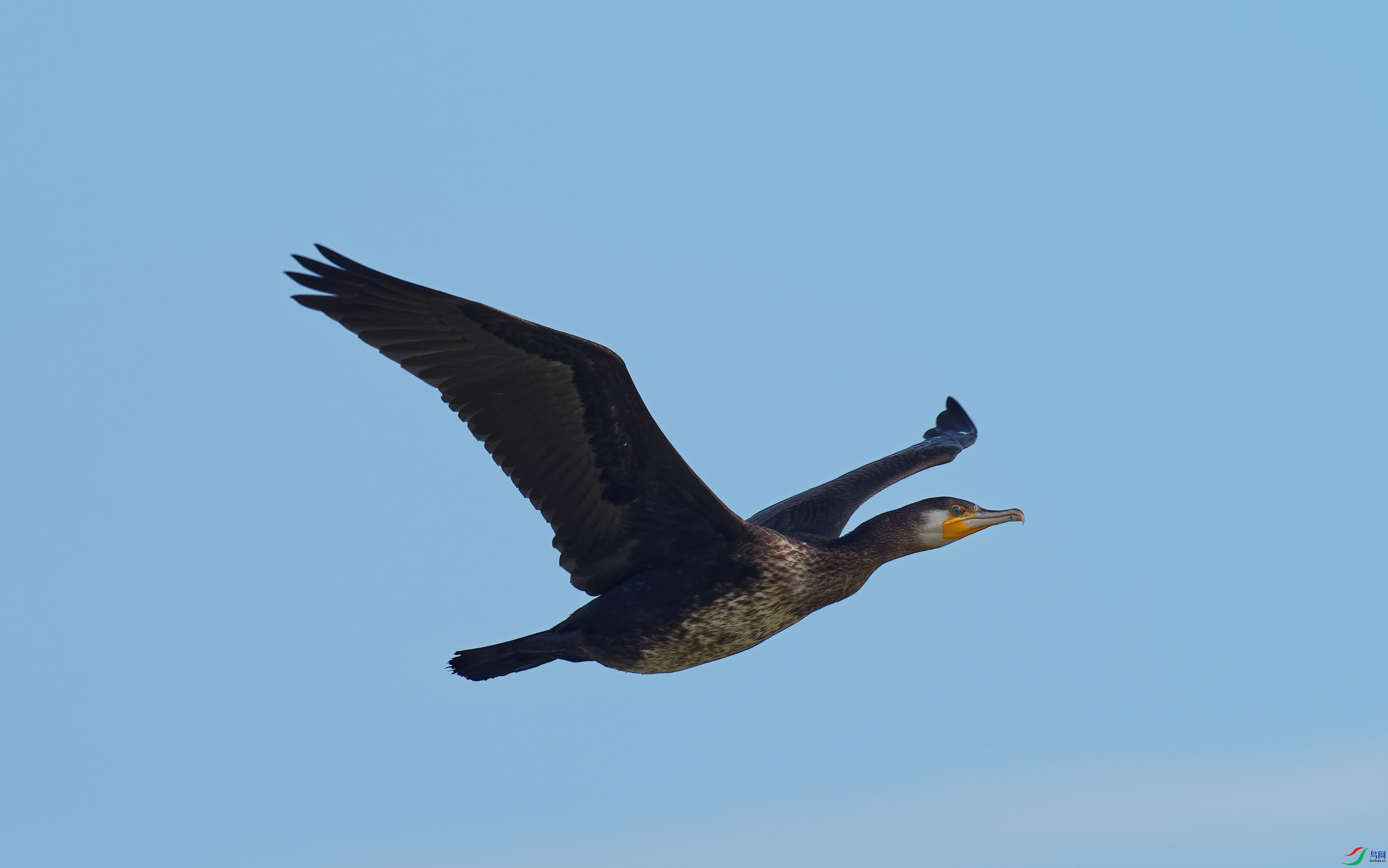 PB020072_DxO-d2.jpg