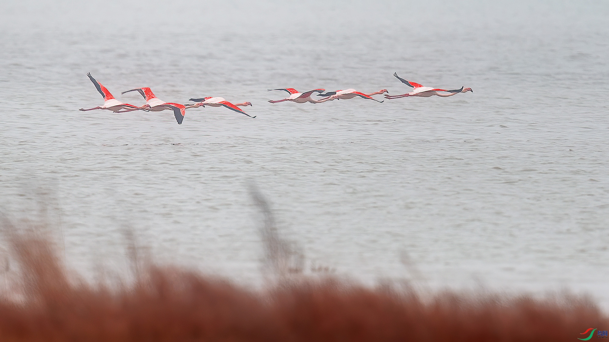 _DSC0534a ����.jpg