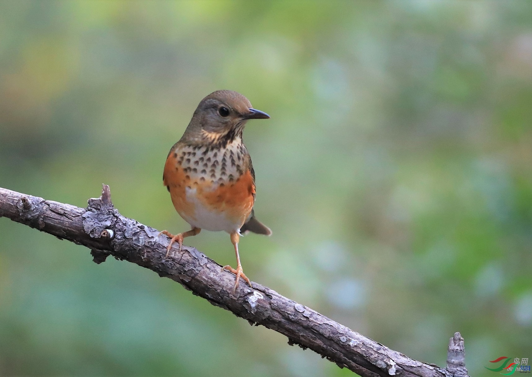 ���  ��ʦ����.jpg