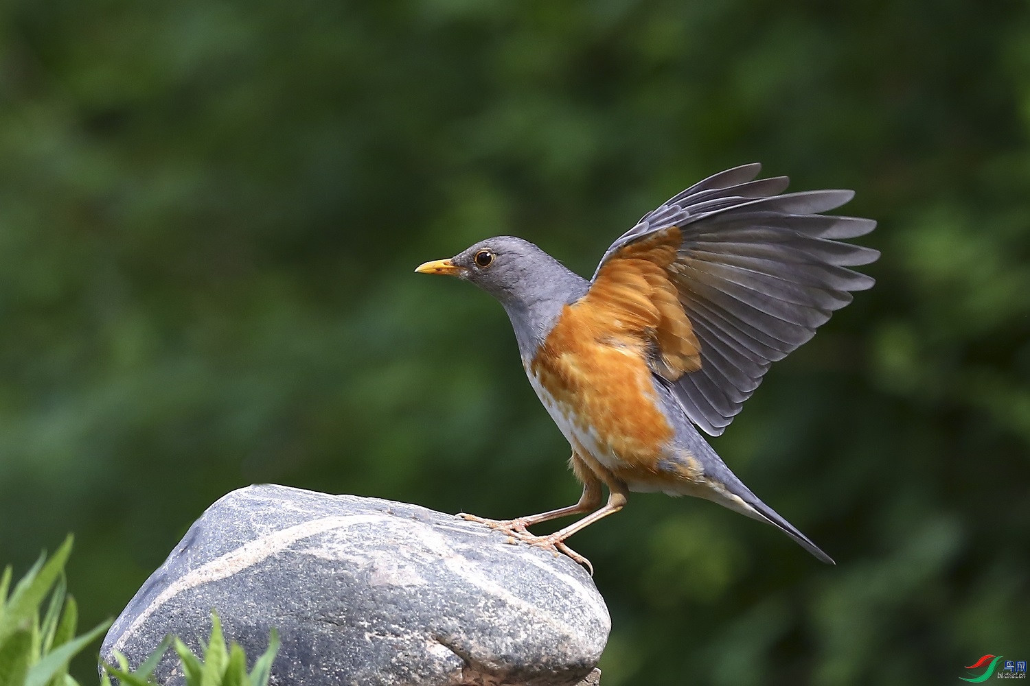 ������  ��ʦ������ɽ��ʡ������0.jpg