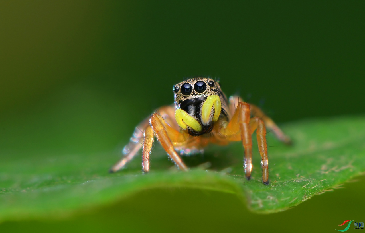 DSC_3880 ����.jpg