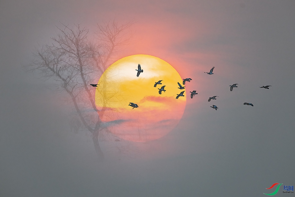 DSC_7104 ����.jpg