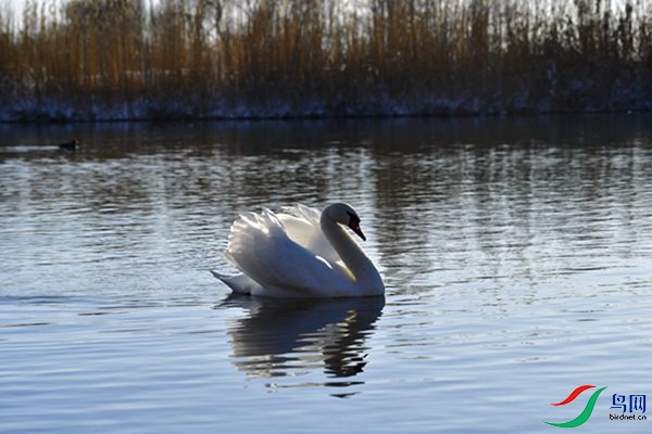 File0000079325.jpg