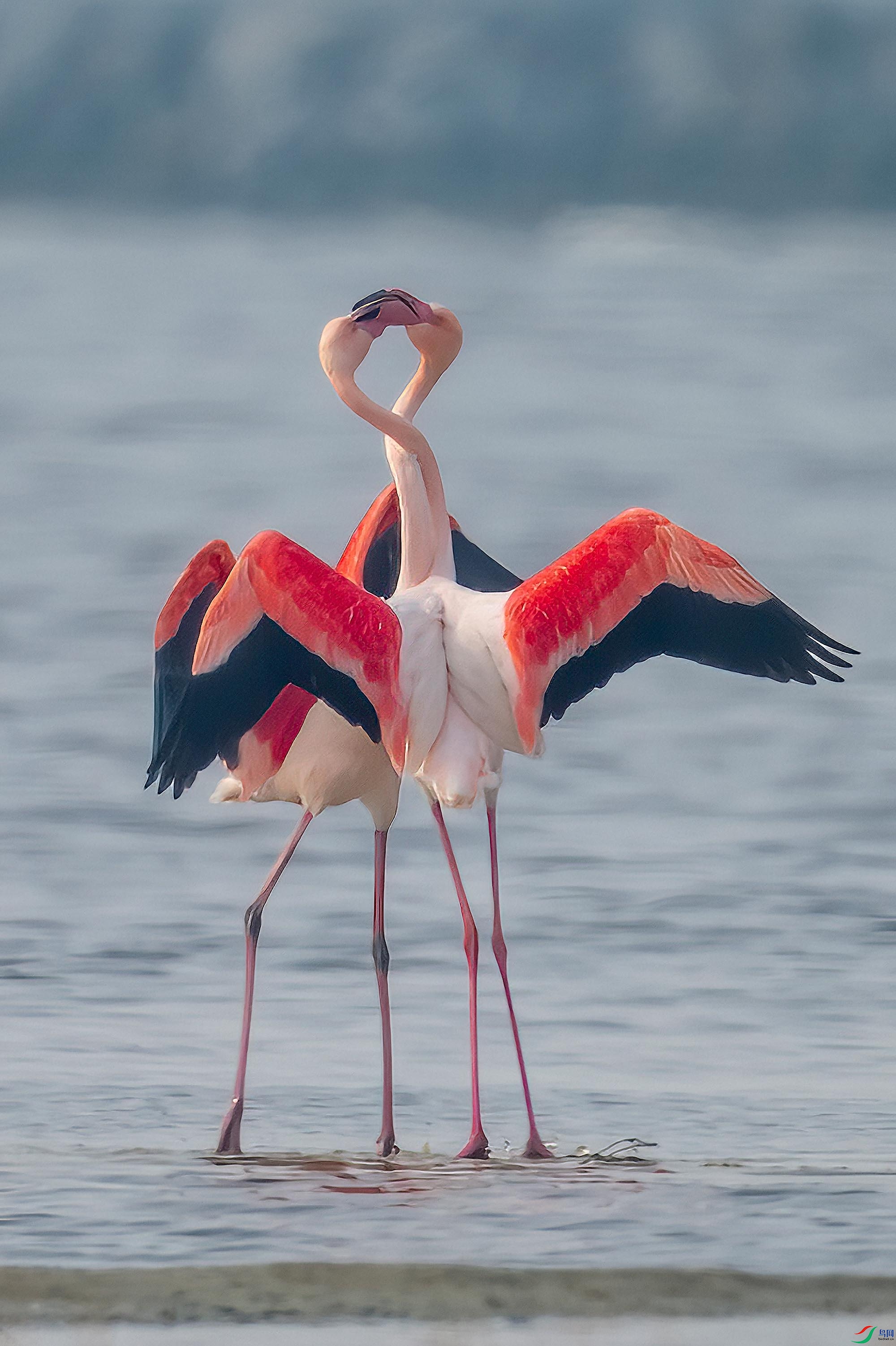 _DSC9333b_1 ���� 2.jpg