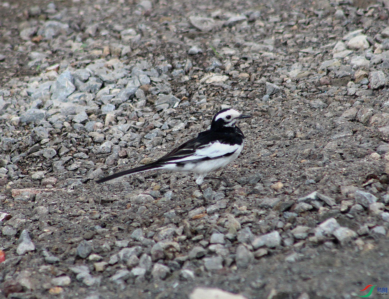 IMG_0025.jpg