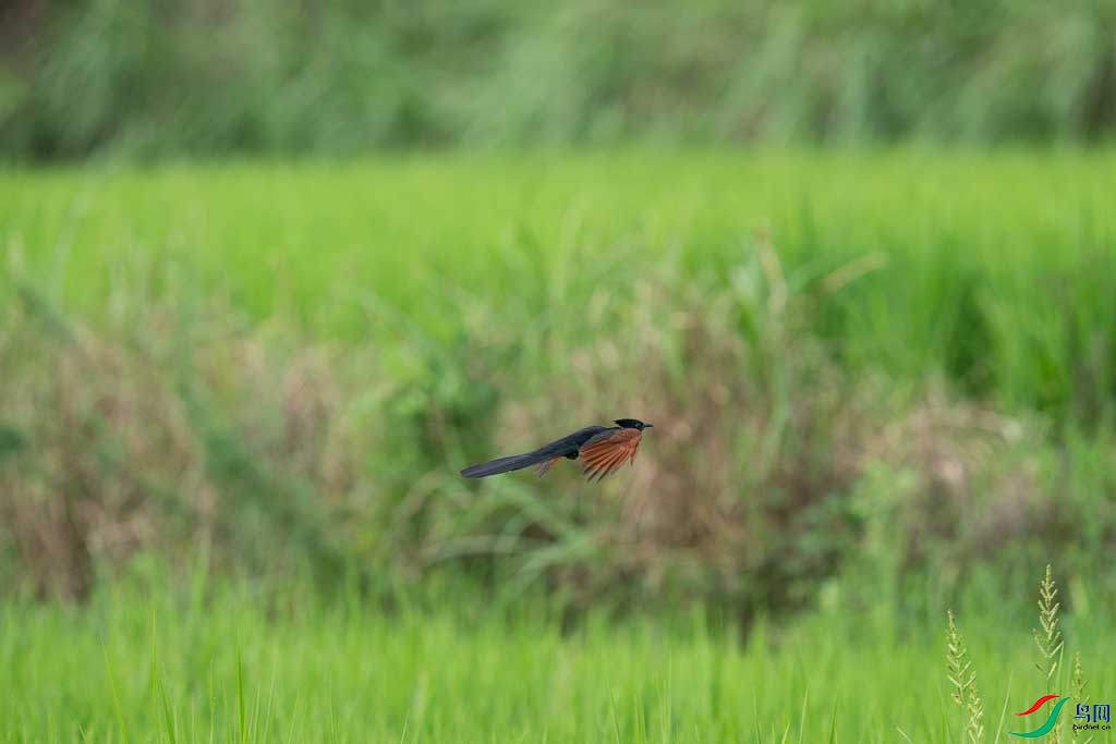 DSC08735.JPG