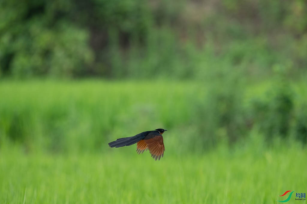 DSC08715.JPG
