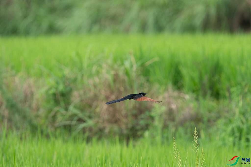 DSC08737.JPG