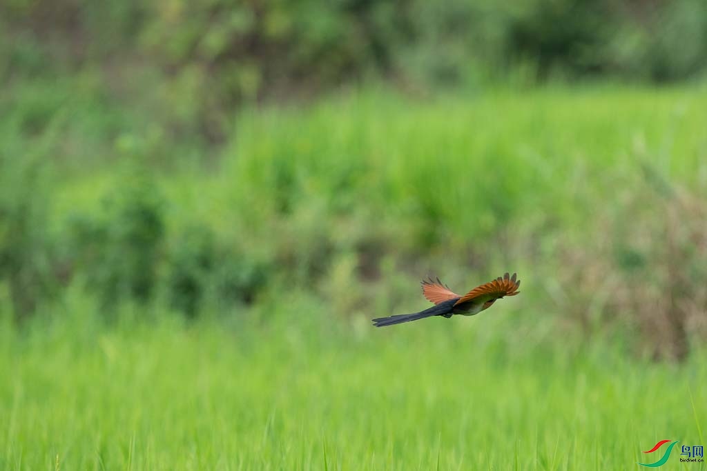 DSC08726.JPG