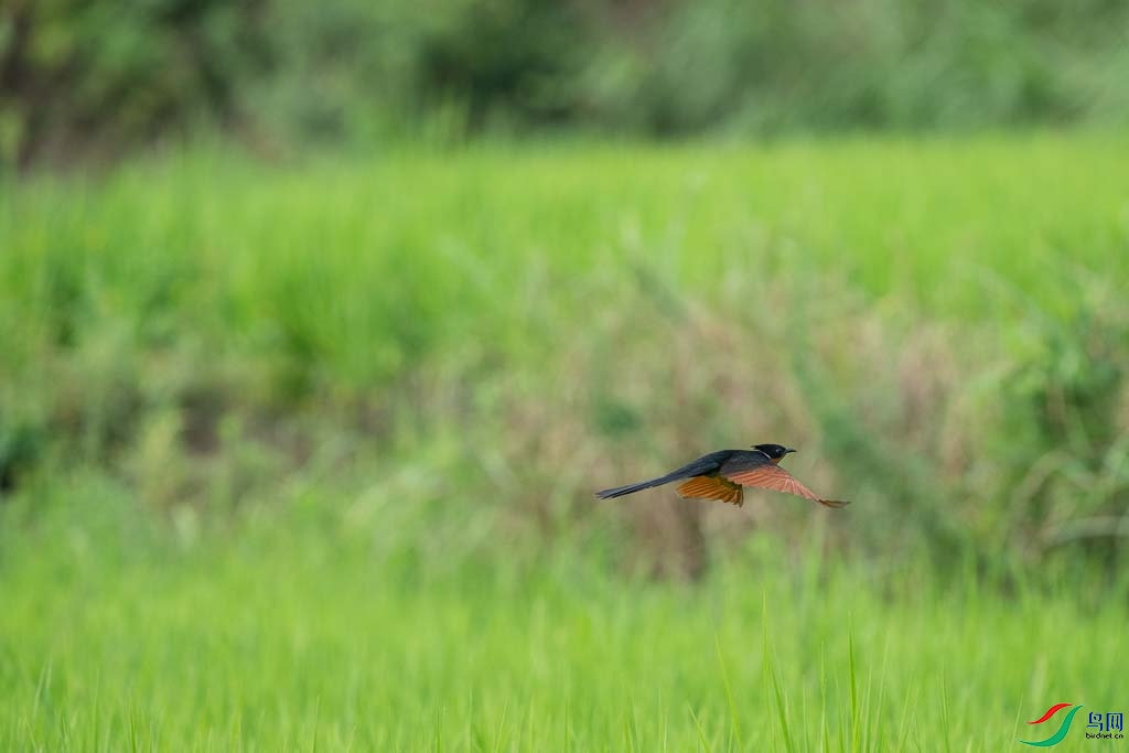 DSC08730.JPG