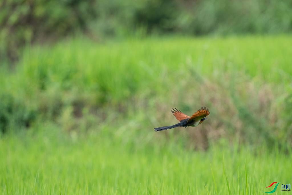 DSC08729.JPG