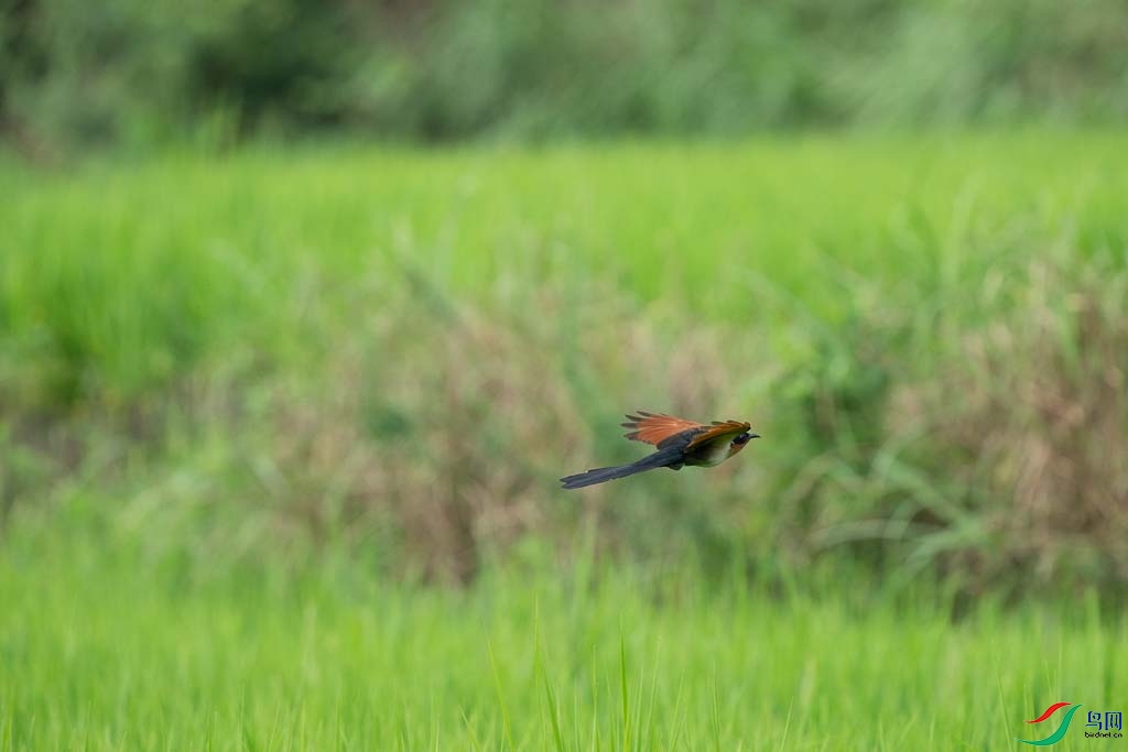 DSC08732.JPG