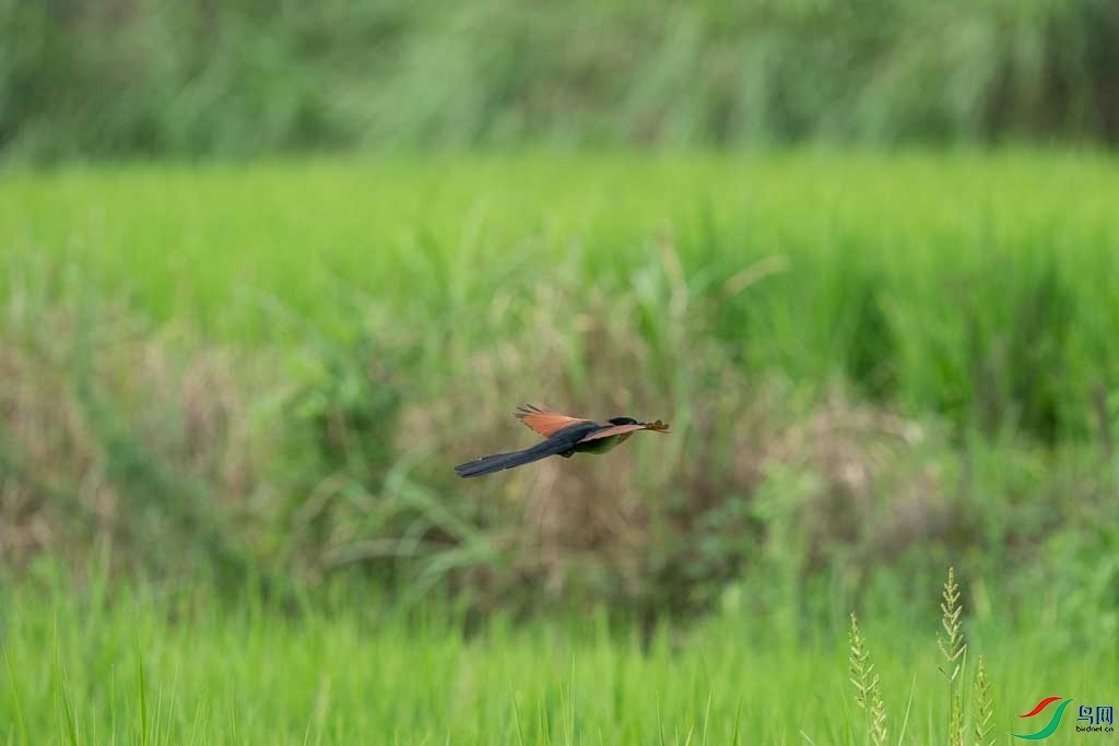 DSC08736.JPG