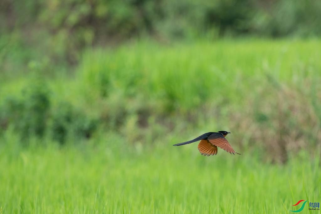 DSC08727.JPG