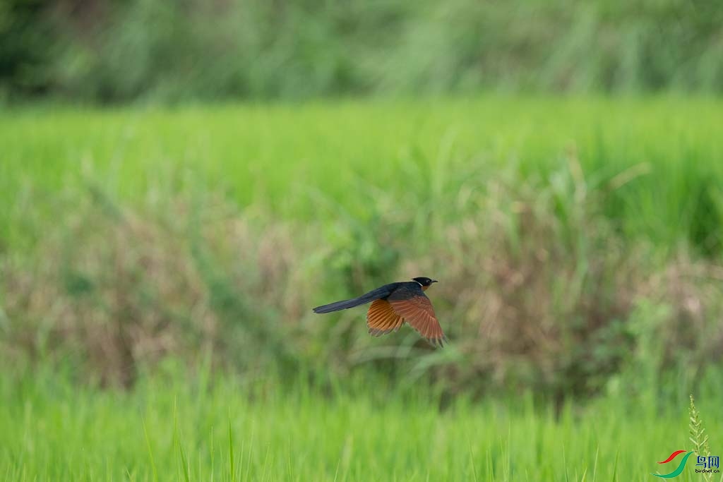 DSC08734.JPG