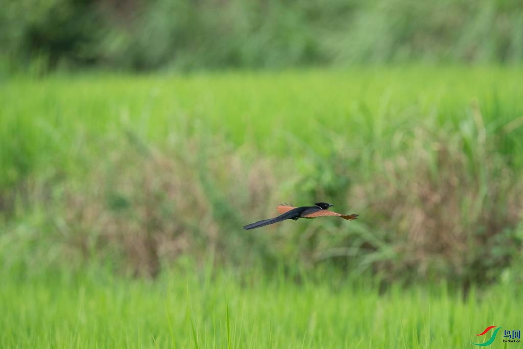 DSC08733.JPG