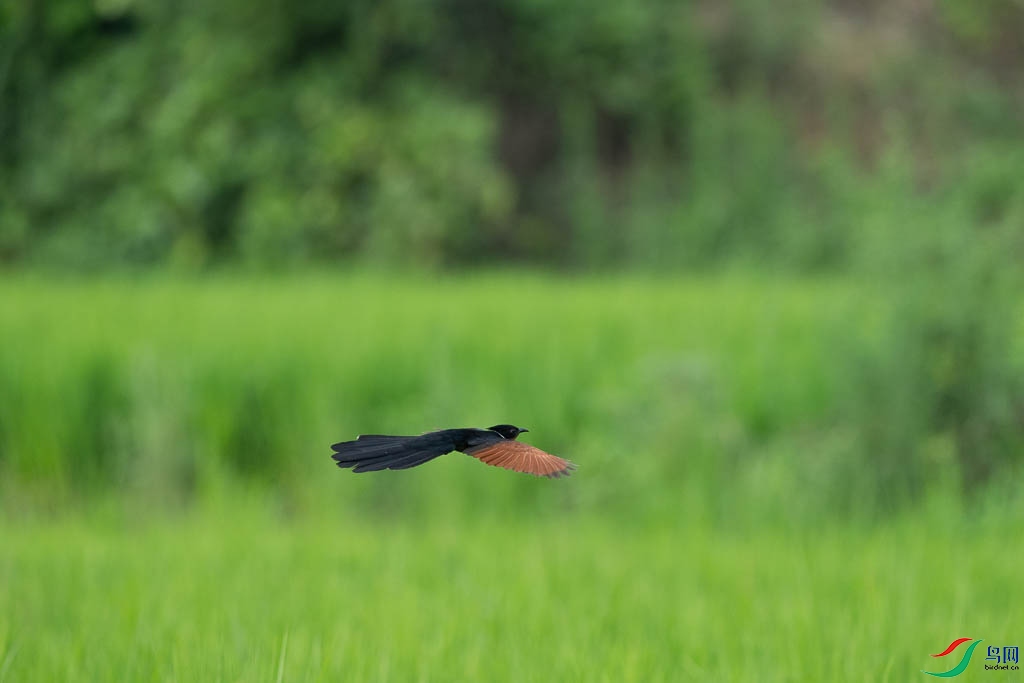 DSC08712.JPG