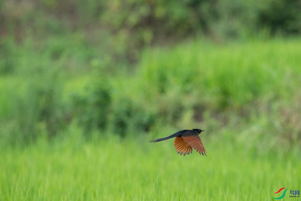 DSC08724.JPG