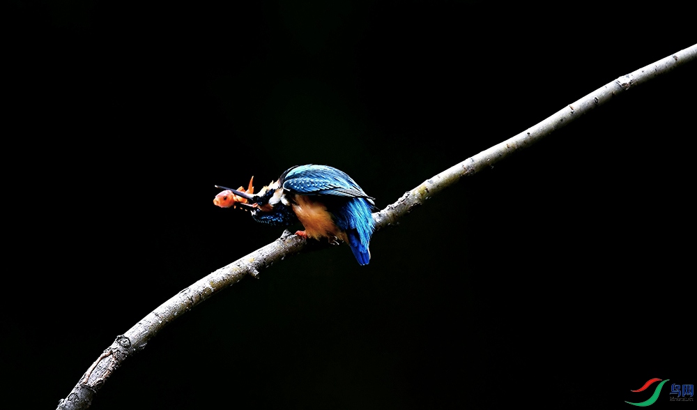 ���ڹ�����ɽ��