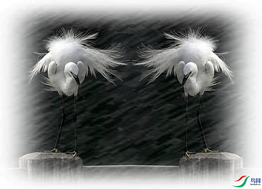 BW6I1020_����_����2_����.jpg