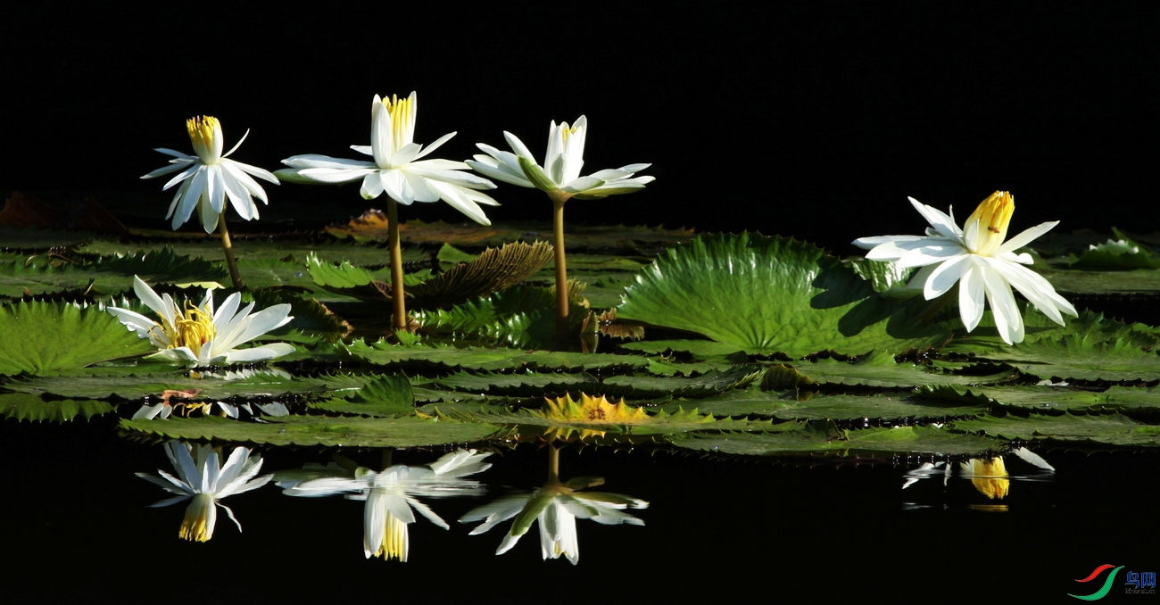 IMG_7647 - ����.jpg