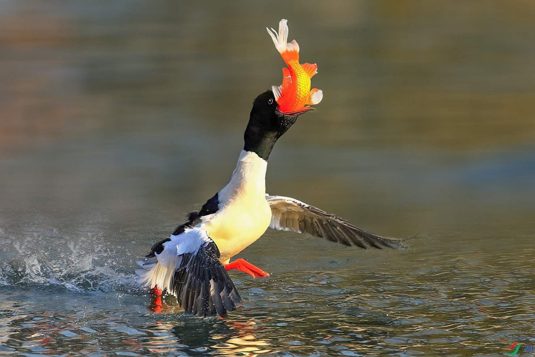 2B9A7965 ����.jpg