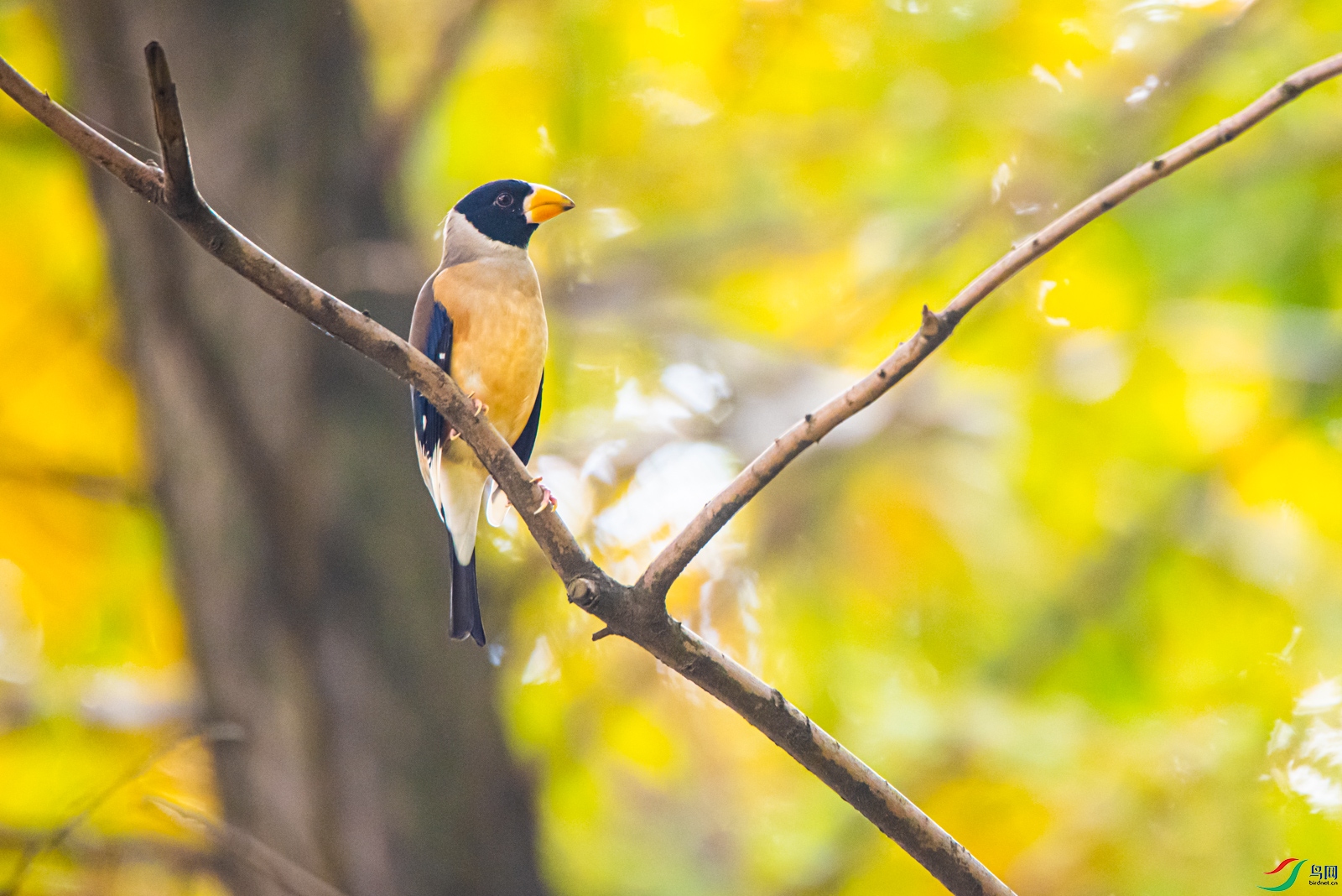 DSC_9434-2.jpg