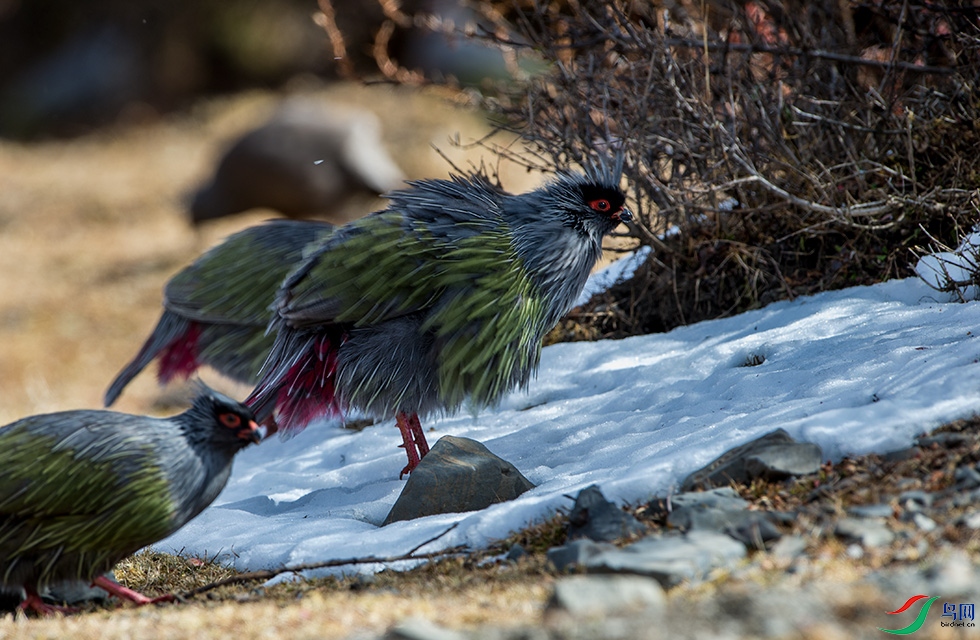 DSC_5038.jpg