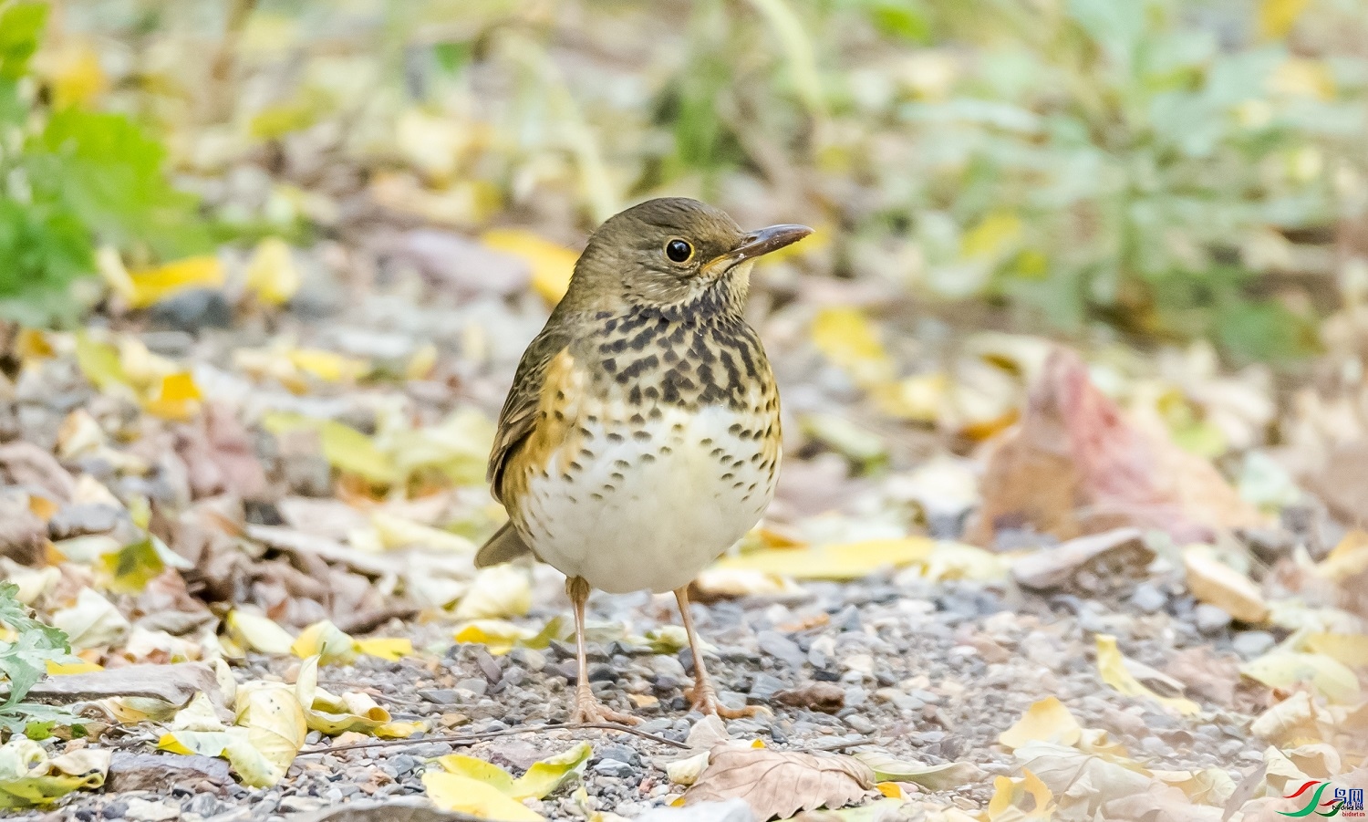 ��غ�һ  ��ʦ������ɽ��ʡ̫ԭ��0.jpg