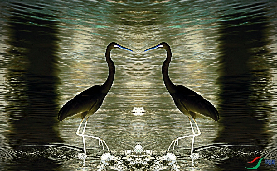 BW6I6599_����_����1_����1_����1_����.jpg