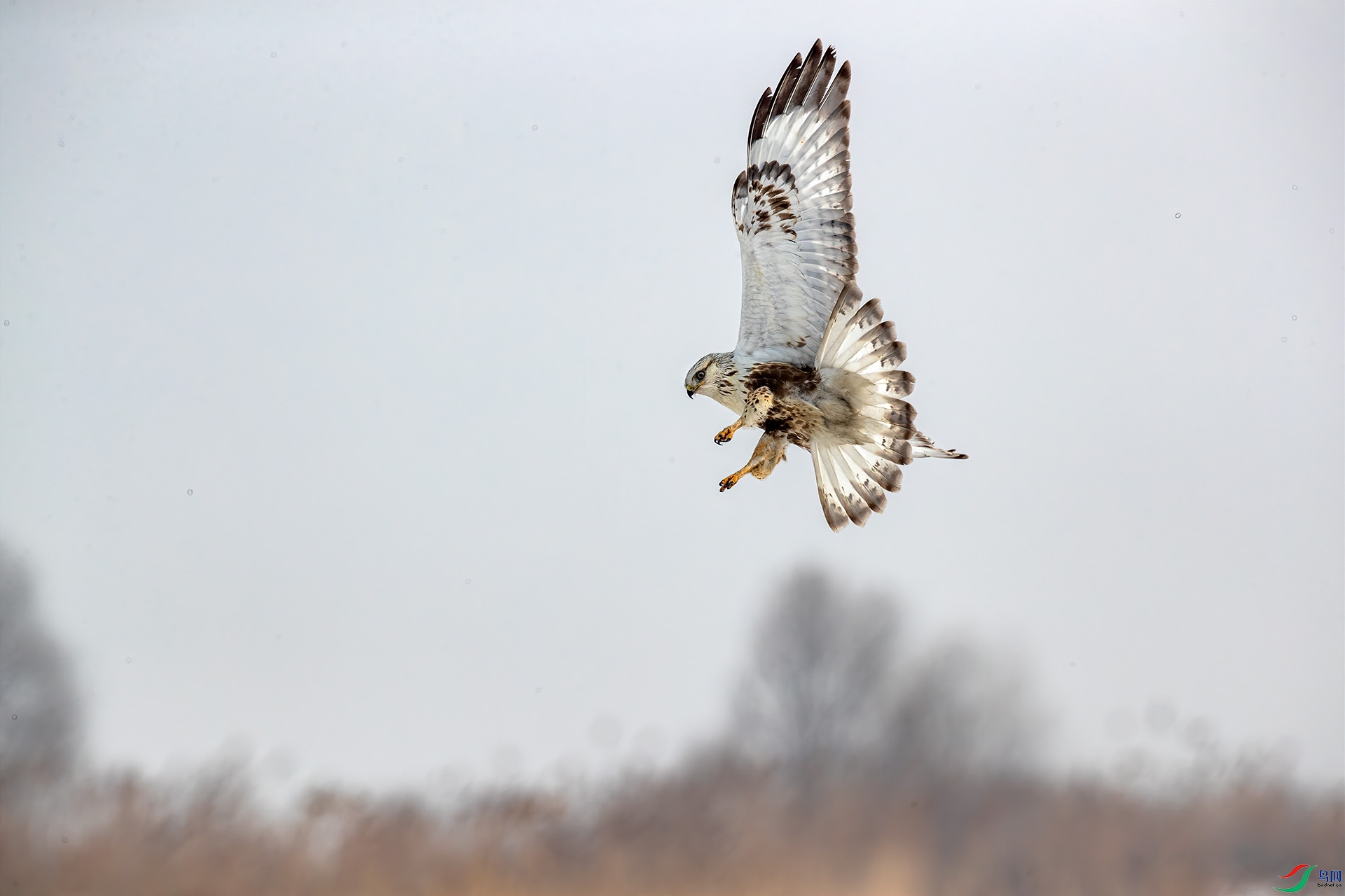 1DX_4092 ����.jpg