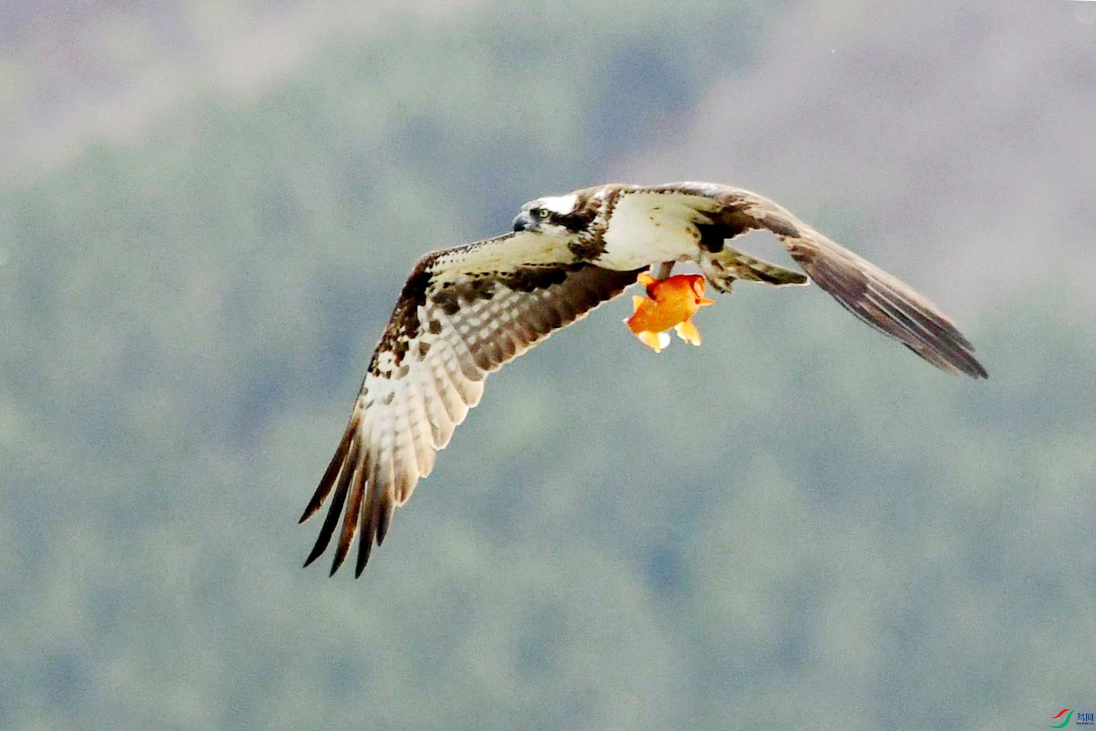 �ʣ� 401_����.jpg