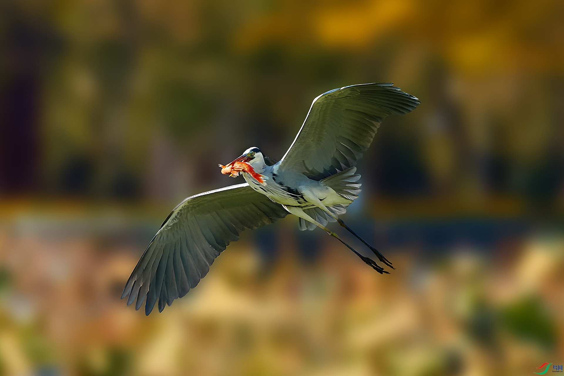 AV3I6792-1-HZW.jpg