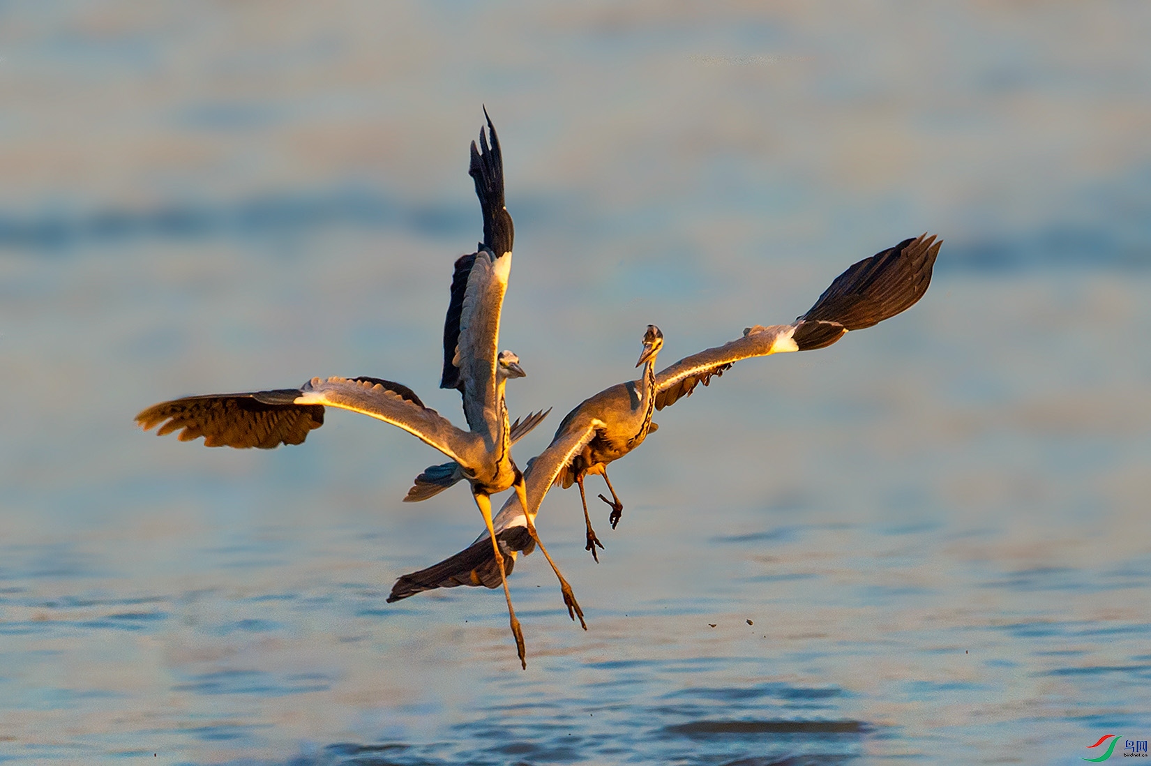 DSC_4991-2a.jpg