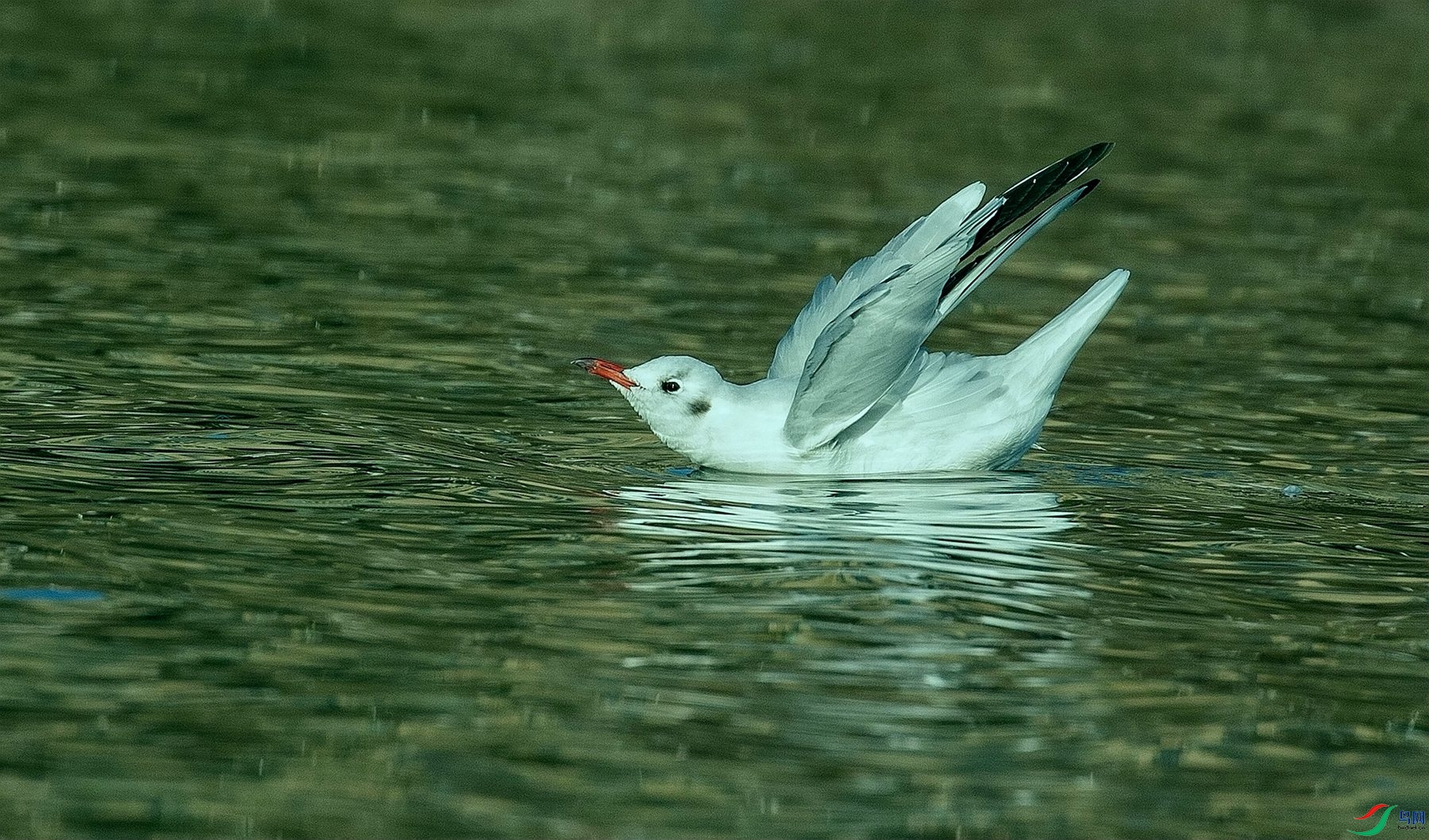 ��ǨŸ�� (2).jpg