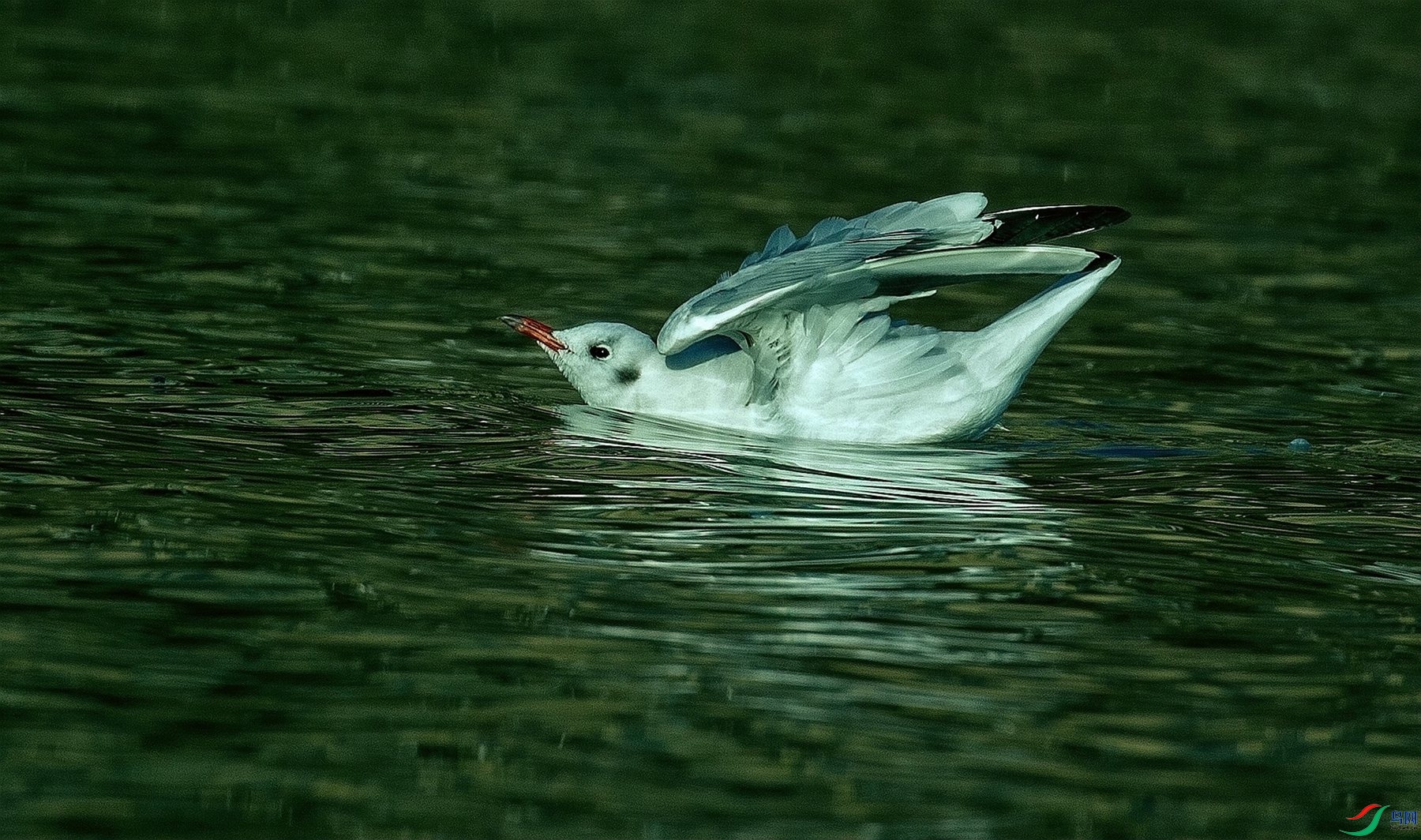 ��ǨŸ�� (3).jpg