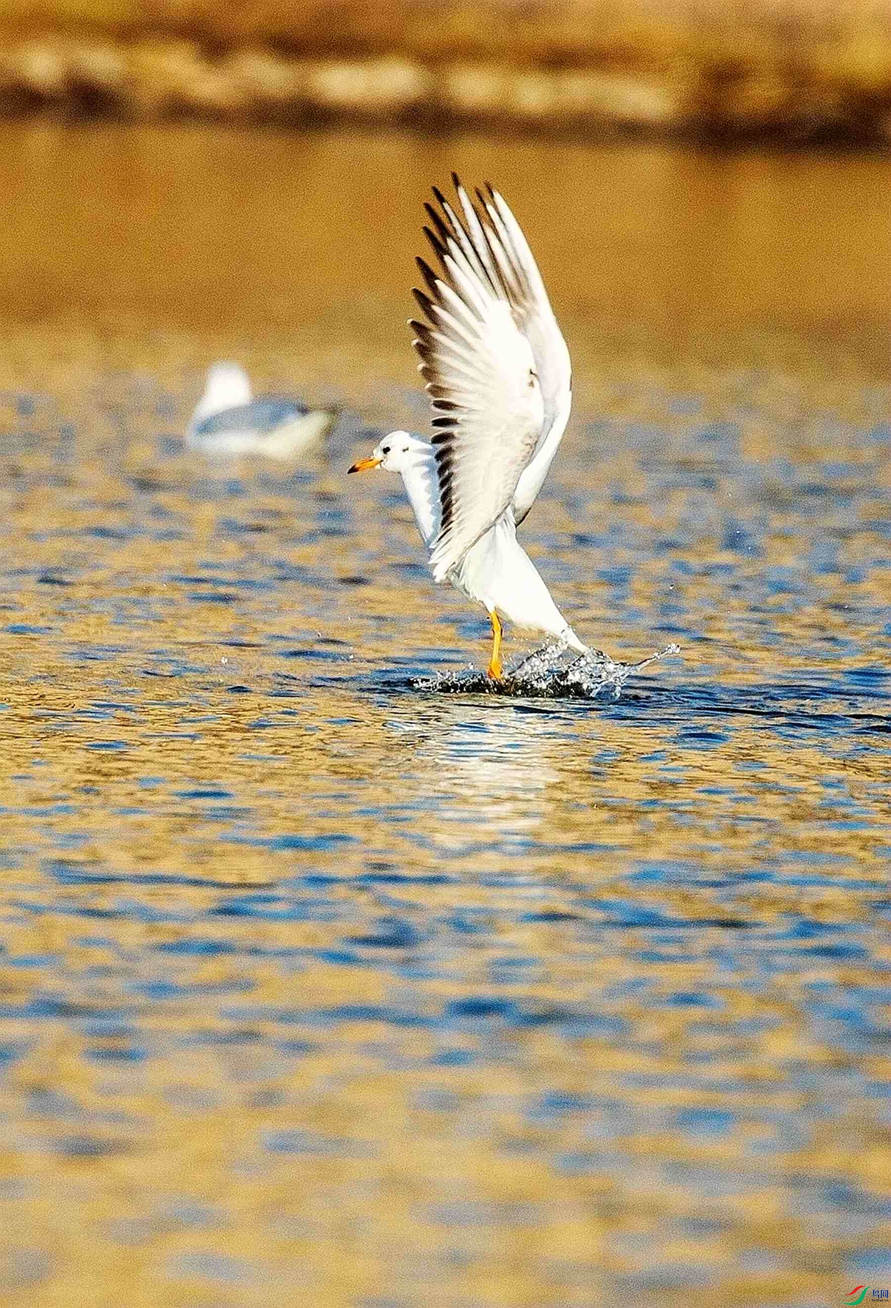 ��ǨŸ�� (6).jpg