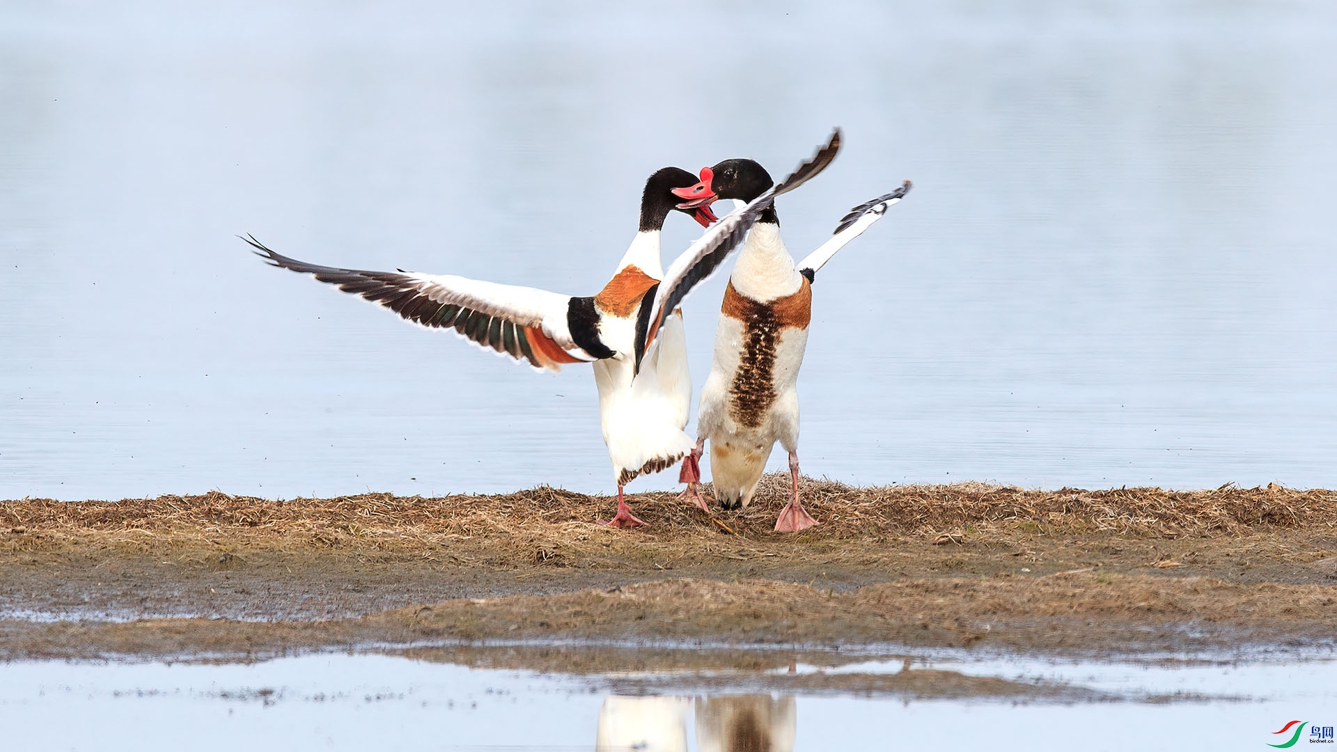 1DX_4770 ����.jpg