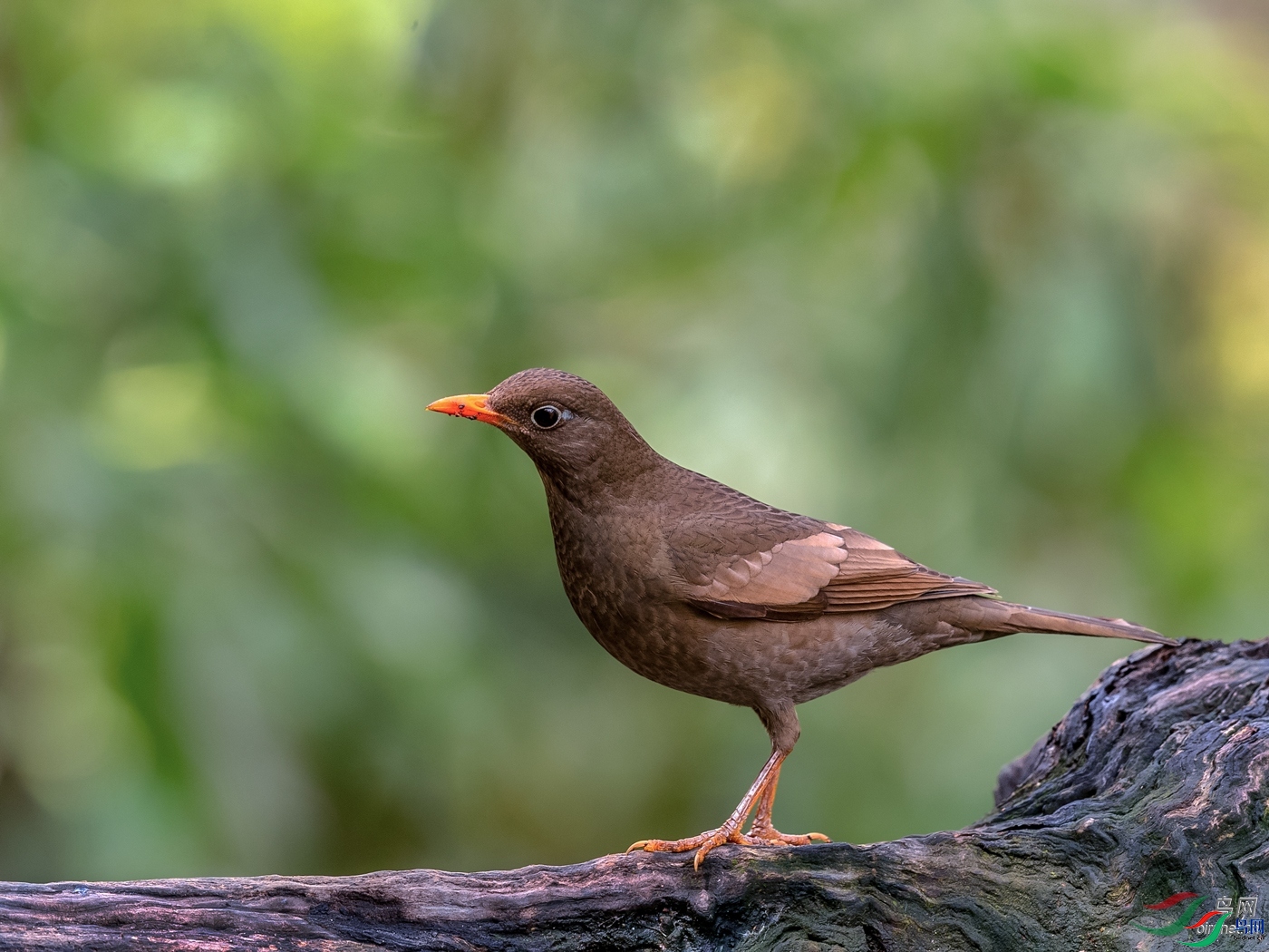 ��ͥ�Ų�YES   ��ʦ����������ʡ��ɽ��.jpg