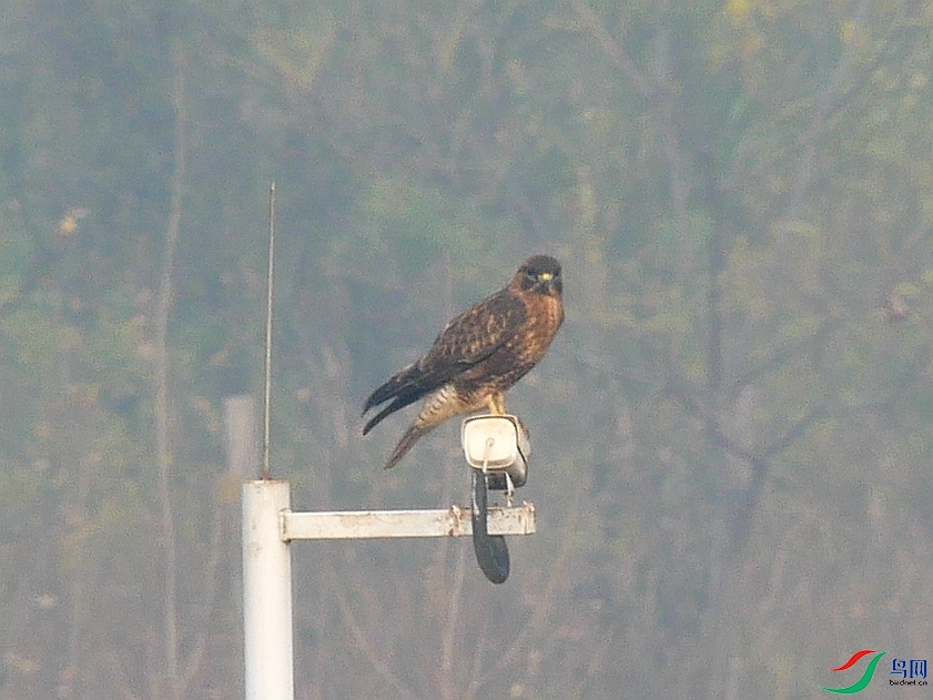 P7630761 - ����.JPG