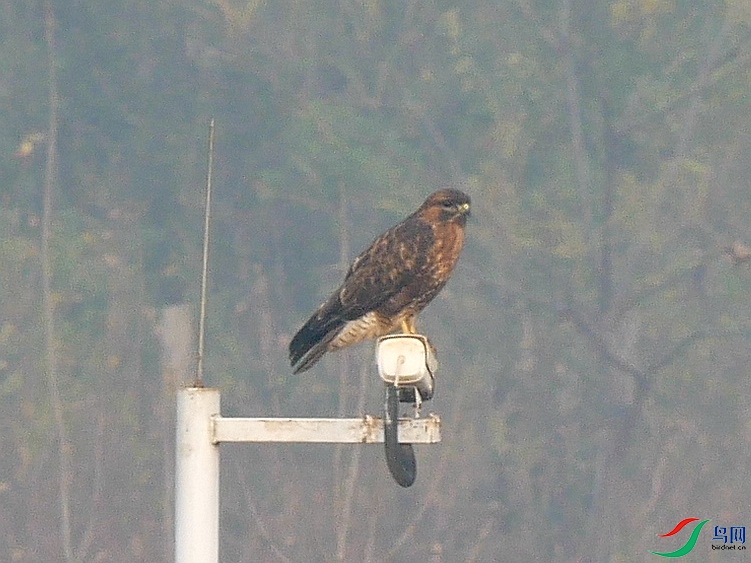 P7630780 - ����.JPG