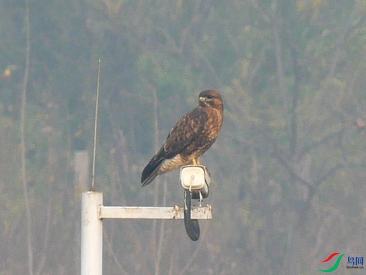 P7630785 - ����.JPG