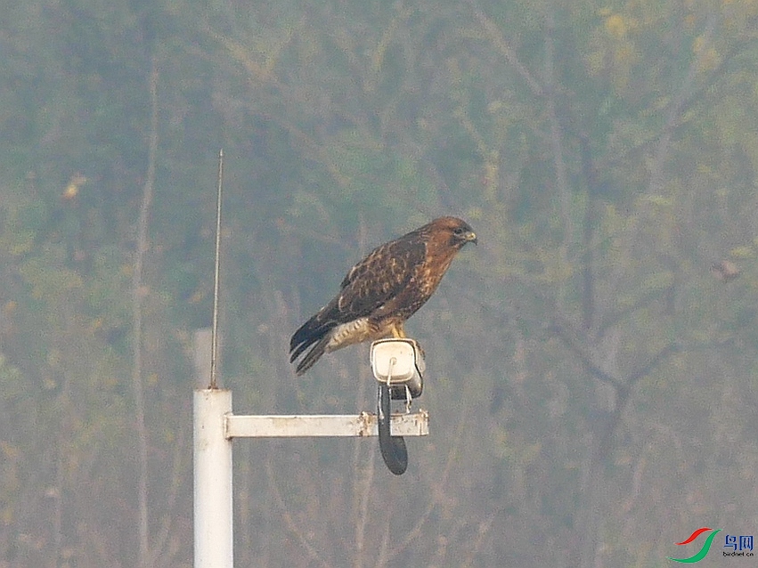 P7630912 - ����.JPG