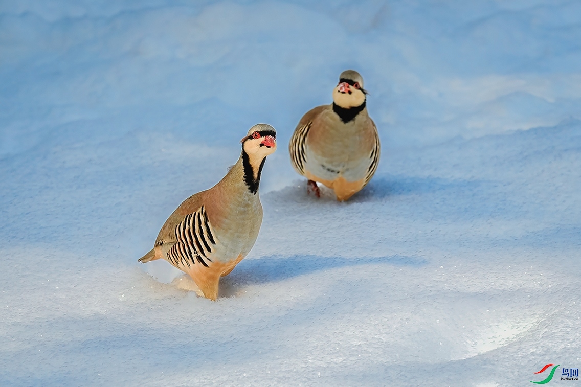 ������ƽ��ɽȪˮ�塣