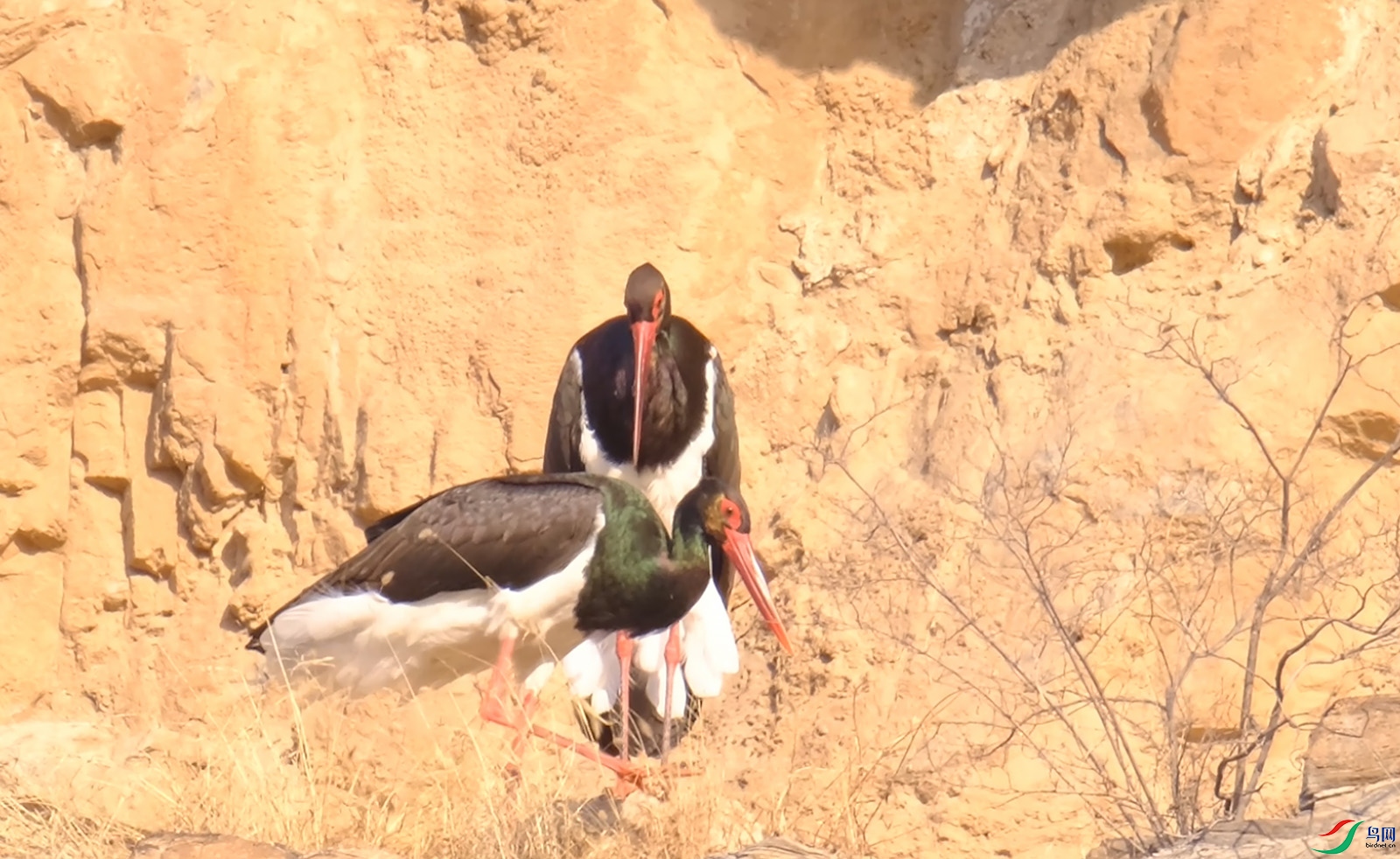 ���� 01.00_01_07_06.Still001����.jpg