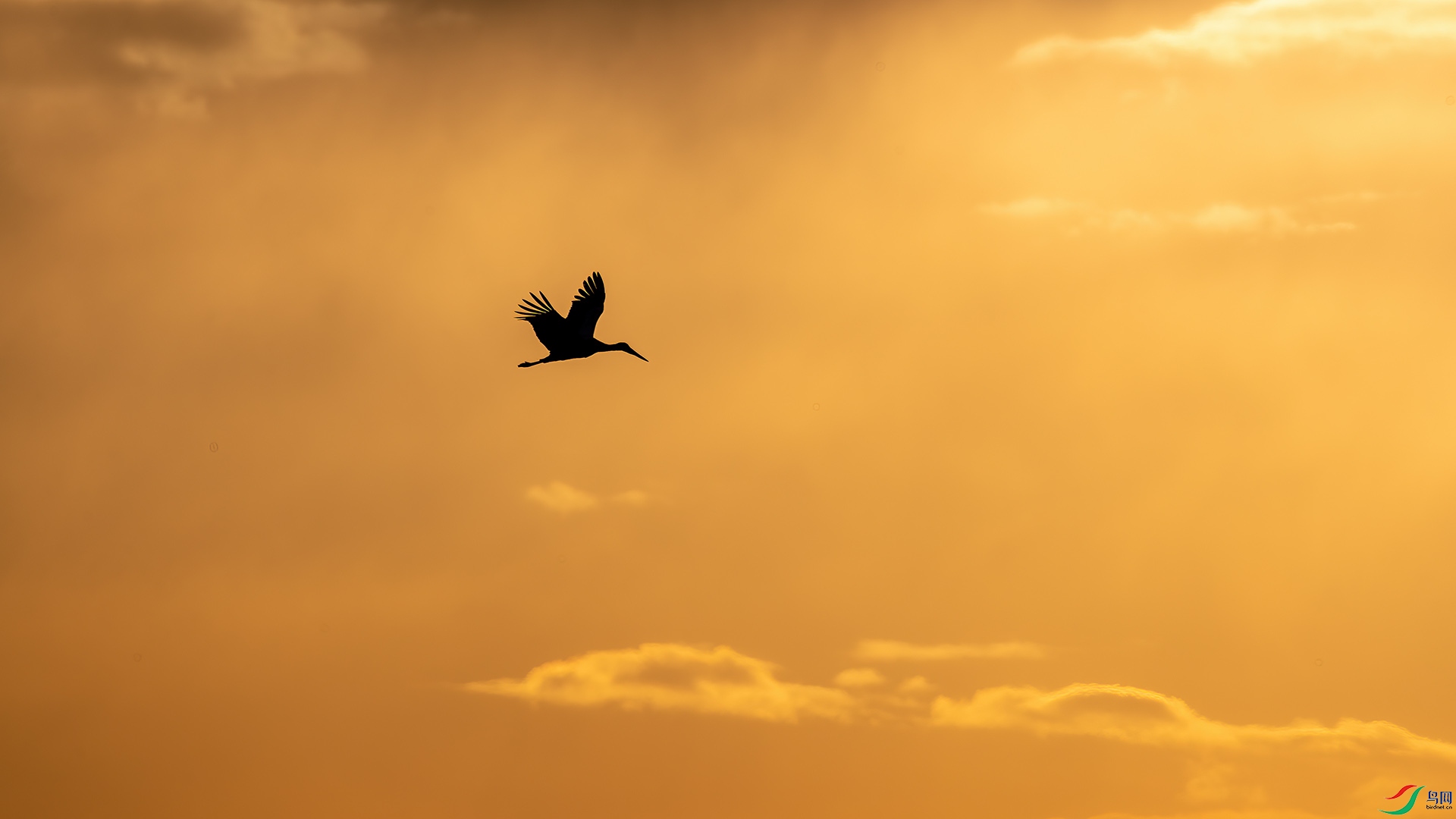 1DX_2514 ����.jpg