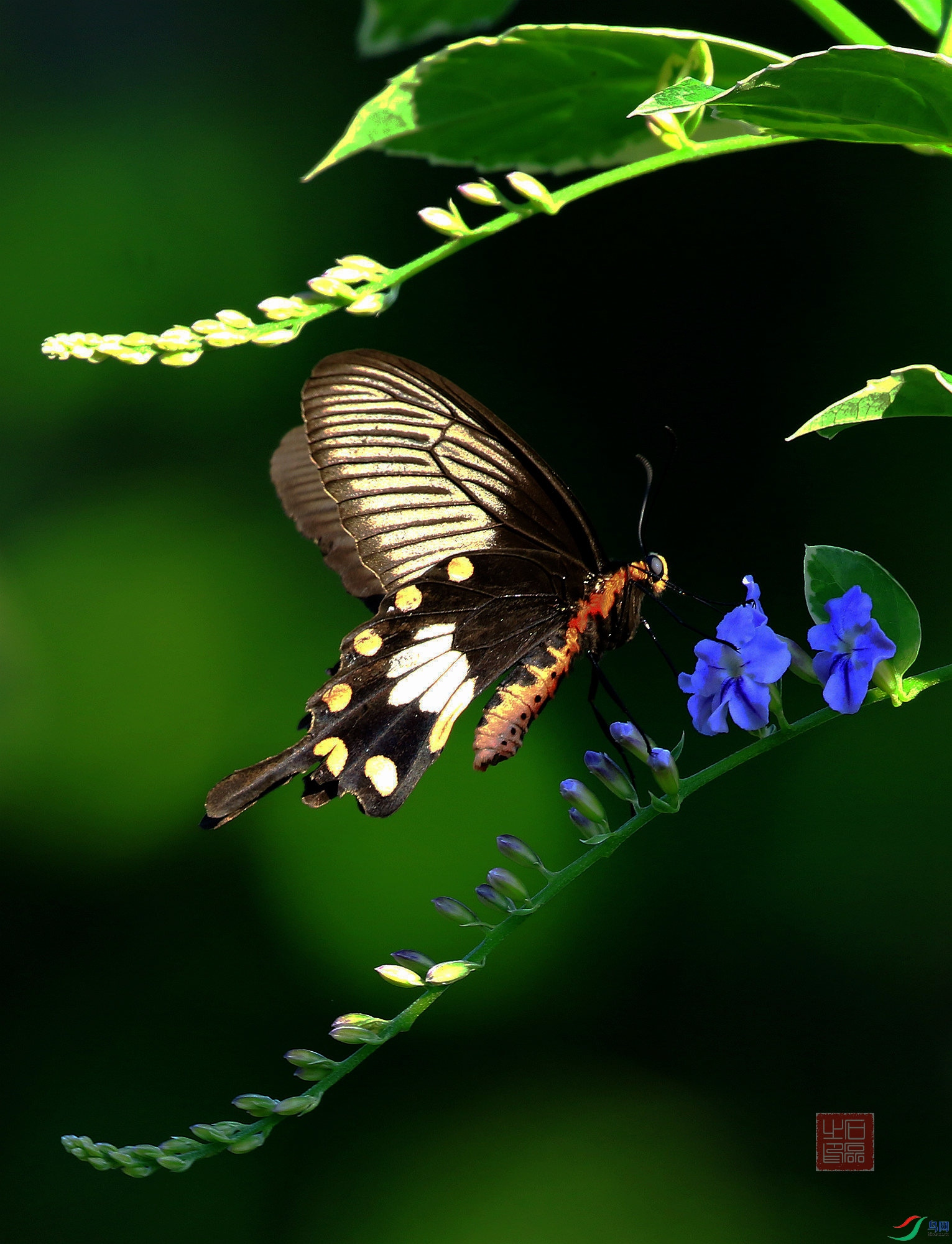 ��������