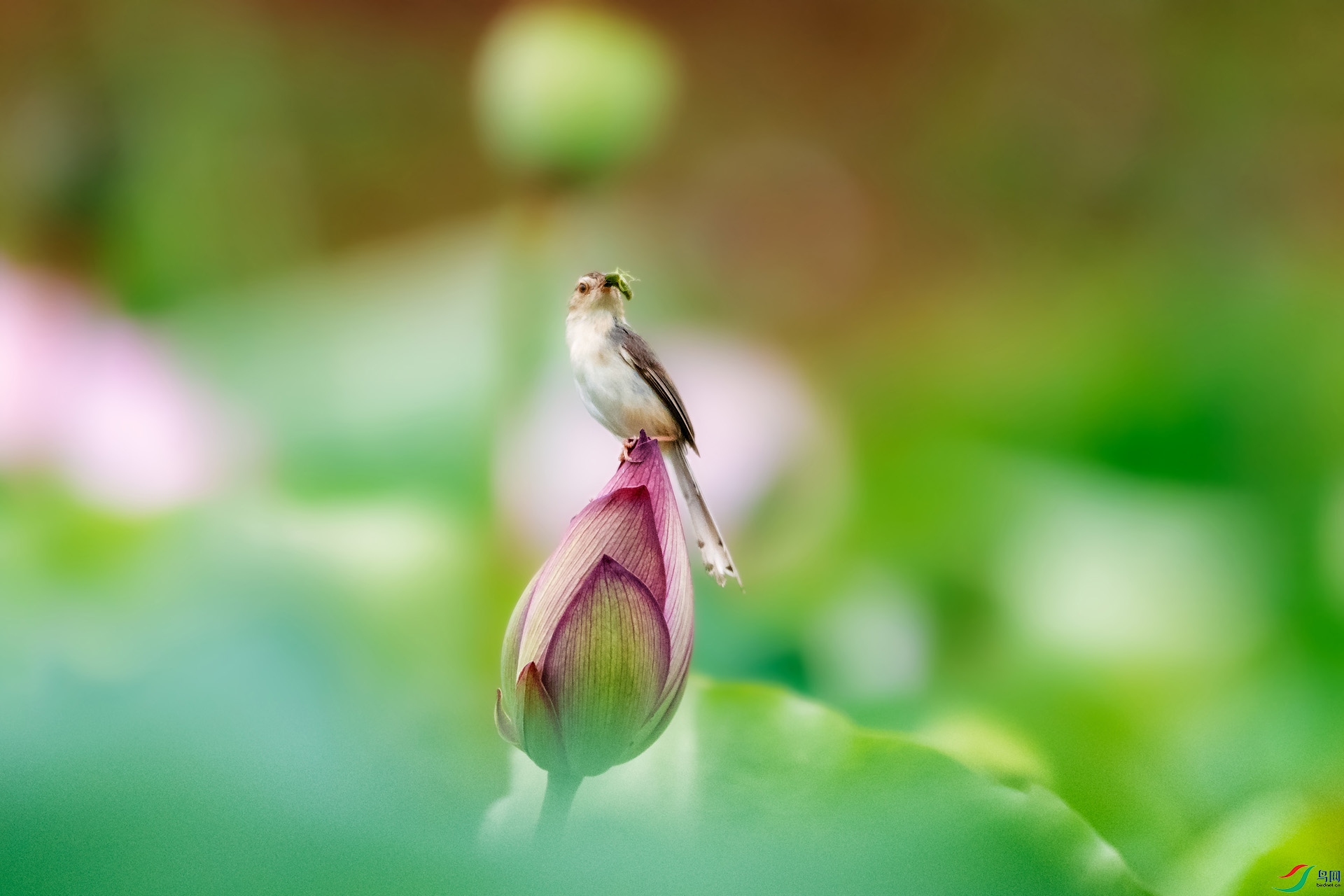 ��_AUU5642����ɫɽ��ݺ(21.7.23)-1.jpg