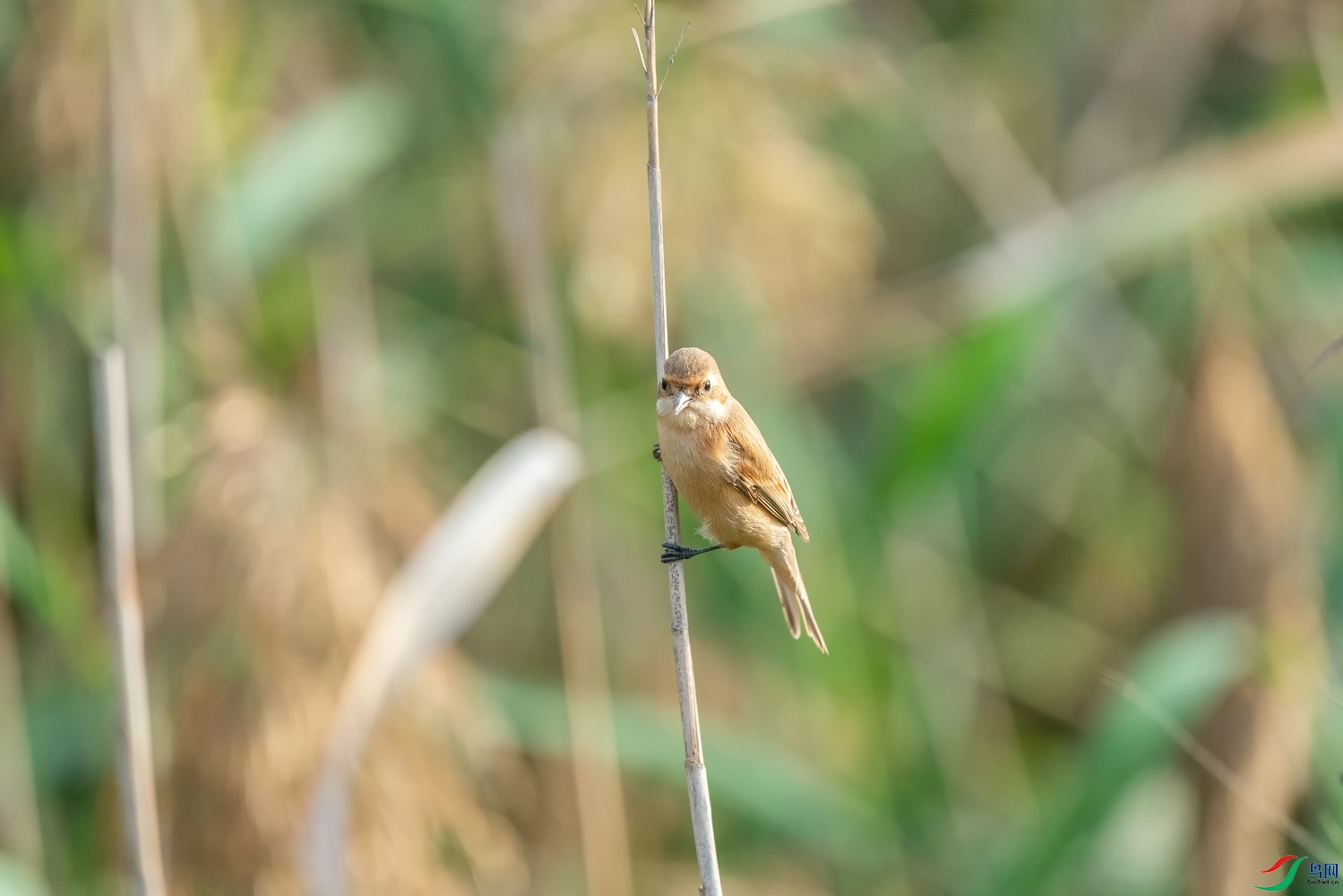 A9D03790-014.jpg